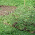 Die zu hohe Fläche weiter ausstechen und das gewonnene Material am tieferen Teil aufschichten